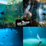 Scuba Diving Tulum: Discover Underwater Wonders with Go Godive Mexico