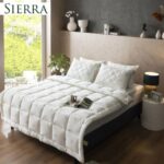 Refresh Your Wardrobe with Trendy Women Outfits USA