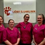 Avliva katt i Ystad med omtanke och stöd