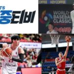 생동감 넘치는 스포츠의 밤, 새로운 기회가 찾아온다