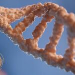 Transform Habits at a Trusted Hypnotherapy Clinic Malaysia