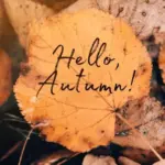 Seasonal Homestead Kitchen Ideas to Inspire Slow Living