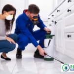 Calgary Pest Control: Trusted Experts for Homes & Businesses