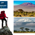 Kilimanjaro Fitness Preparation Guide: Build Endurance for Your Summit