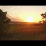 Chisinau Moldova Tourism: A Traveller’s Guide to Hidden Gems