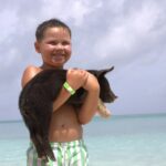 Swim With Pigs Bahamas – Unforgettable Bahamian Adventure